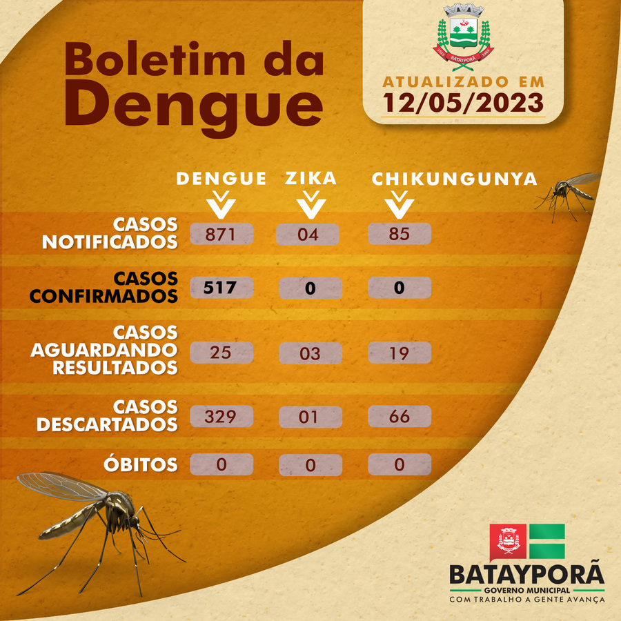 Center arte boletim dengue